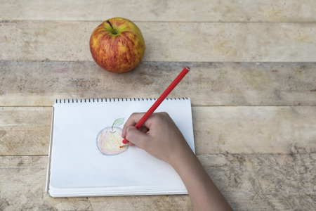 Children's hands draw an apple with colored pencils. Top view