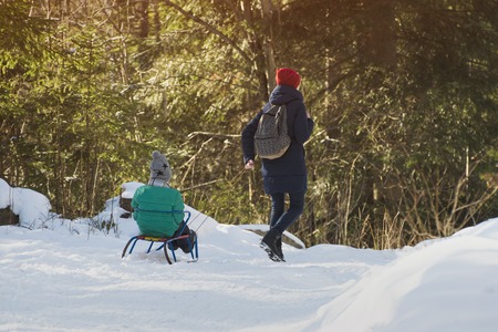 Mom carries her son on a sled through the snow-covered coniferous forest. Winter sunny day. Back viewの写真素材