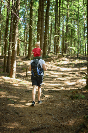 Father with backpack and young son on his shoulders walking on a coniferous forest. Back view. Activities and tourism.の写真素材