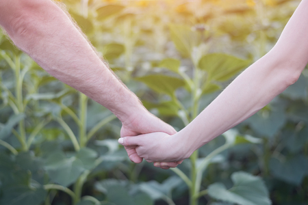 Hand in hand, female and male on a background of green field. Close-up.の写真素材