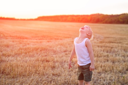 Happy blond boy stands with his head up on a mown wheat field. Sunset timeの写真素材