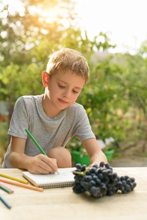 Cute boy draws with pencils still life. Open air. Garden in the background. Creative concept.の写真素材