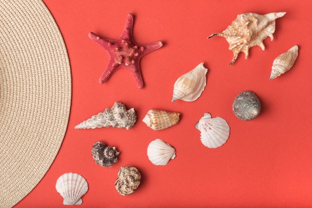 Variety of seashells and part of straw hat. Living coral on the background. Flat lay. Marine conceptの写真素材