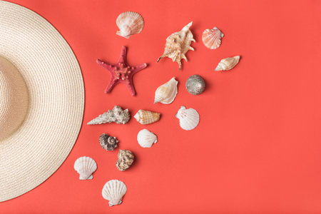 Variety of seashells and part of straw hat. Living coral on the background. Flat lay. Marine conceptの写真素材