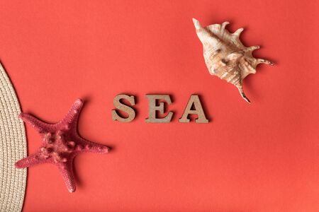 Word Sea from wooden letters. Seashells, starfish and part of a hat. Live coral background. Marine conceptの写真素材