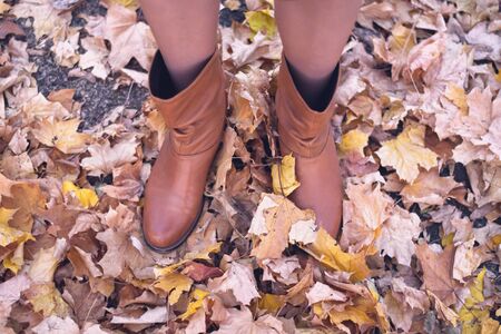 Female legs in brown boots. Yellow foliage underfoot. Autumn concept
