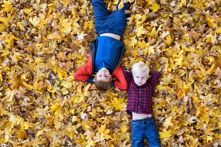 Two smiling boys lies in yellow autumn leaves. Top view. Autumn conceptの写真素材