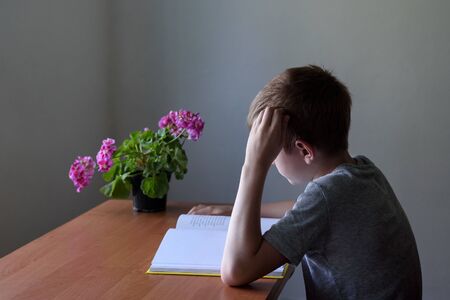 Schoolboy reading a book with interest. Home interiorの写真素材