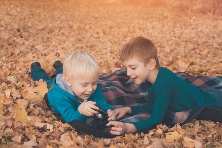 Two little brothers look at pictures on the camera. Lying in yellow autumn leaves. Fall dayの写真素材