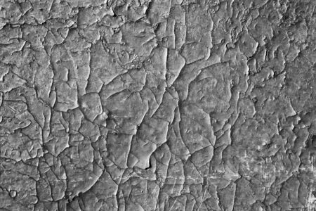 Cracked gray paint. Seamless old texture background