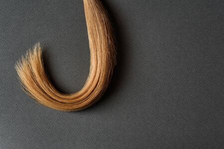 Strands light brown on gray background. Healthy natural hairの写真素材