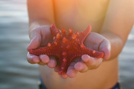 Child holding and showing a starfish in hands. Big red starfish in childrens palms close up.の写真素材