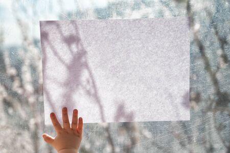 Children's hand holds white sheet of paper on window glass. Place for your text. Copy space. Template. Backdrop. Mock up.の写真素材