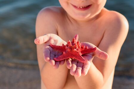 Starfish in palm. Kid holds starfish. Vacation with children of sea.の写真素材