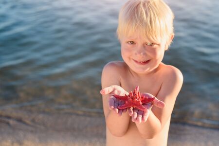 Little child holds starfish on his palm. blond boy smiles and shows large starfishの写真素材