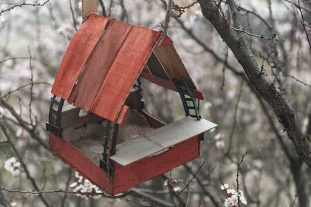 Bird feeder on tree. Help birds. Homemade bird feeder on street.の写真素材