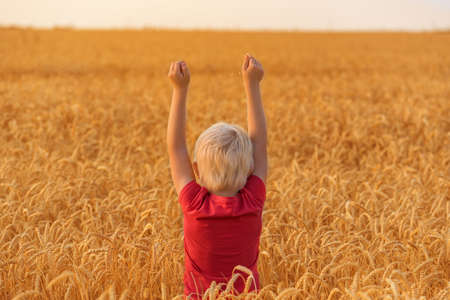 Rear view of blond boy standing in field surrounded by ripe wheat. Raised hands up.の写真素材