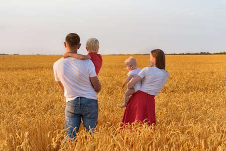 Rear view of father mother and two children in wheat field. Young family with children outdoors.の写真素材