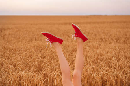 Beautiful female legs sticking out of field of ripe wheat. Be yourself concept.の写真素材