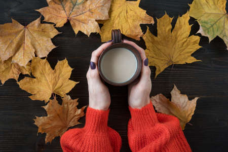 Top view of female hands holding Cup of cocoa on background of wooden table and autumn leavesの写真素材