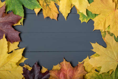 Frame of autumn leaves on wooden gray Background. Template. Backdrop. Mock upの写真素材