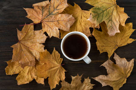 Cup of tea on wooden table with yellow autumn leaves around. Hot tea amid autumn foliage.