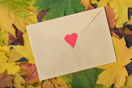 envelope letter on autumn leaves background. Template. Backdrop. Mockup.の写真素材