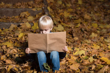 fair haired boy sitting on autumn leaves in forest and holds large book in hands. Children's...