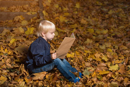 Boy sitting on fallen leaves in autumn forest with book. Child loves to readの写真素材