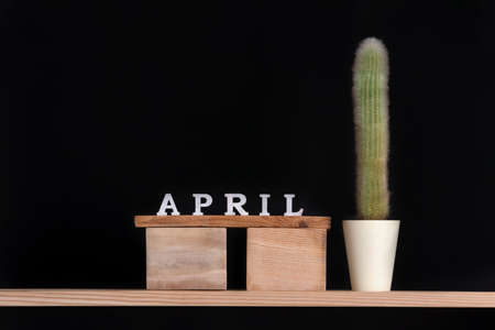 Wooden calendar of April and cactus on black background. Mock up.の写真素材