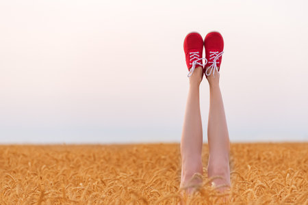 Sexy legs sticking out of wheat field in sunny day. Slender female legs on field and sky backgroundの写真素材