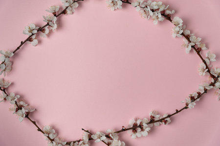 Spring flowering branches on pink background in frame. Template. Backdrop. Mockup.の写真素材