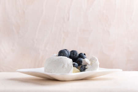 Homemade delicious meringue cake with fresh blueberriesの写真素材