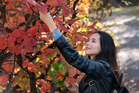 Brunette girl tears leaves from tree for herbarium. Beautiful young woman in the forest. Autumn park