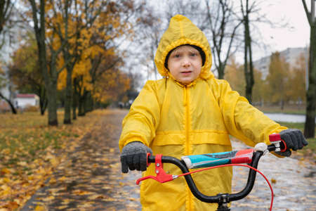 Portrait of serious preschooler in yellow raincoat. Boy rides bicycle in an autumn park in the rainの写真素材