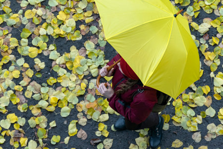 Girl walks through the autumn leaves with yellow umbrella. Walking in rainy autumn weather. Top view.の写真素材