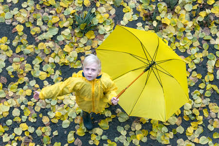 Child in yellow jacket with yellow umbrella stands and looks at the camera against fallen autumn leaves background. Top view.の写真素材