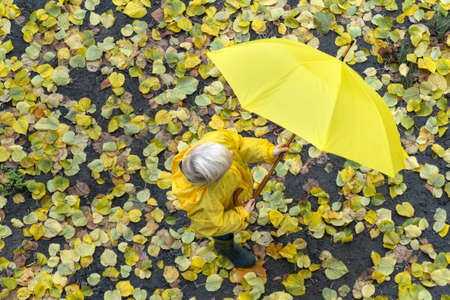Small boy folds the umbrella against yellow fallen leaves background. Colorful autumn. Top view.の写真素材