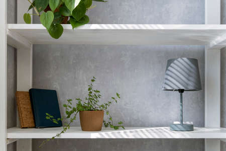 Shelf with household items. Lamp, books and houseplants on the shelf. Cozy interiorの写真素材