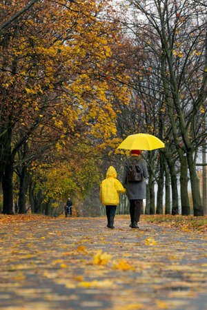 Mom and child are walking along the alley of autumn park under yellow umbrella. Back view. Vertical frame.の写真素材