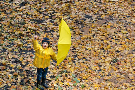 Child raised the umbrella over his head. Portrait of child in the autumn park. Top view.