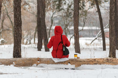 Girl in bright red winter jacket sits on log in winter snow-covered forest. Back viewの写真素材