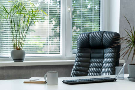 Bright office. Comfortable workplace. Leather chair. Keyboard, notebook and cup of coffee on the desktopの写真素材
