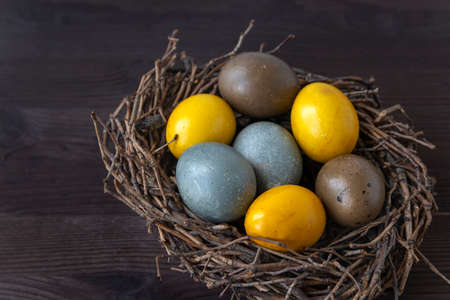 Multi-colored Easter eggs in birds nest on wooden table. happy easter