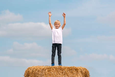 Blond boy with hands up on blue sky background. Cute schoolboy stays on large haystack in field . vertical frameの写真素材