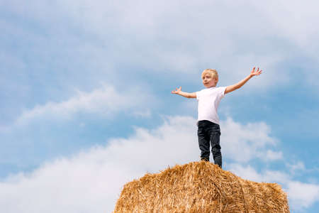 Ukrainian blond boy on the haystack with his hands up against the blue sky and clouds. Summer...