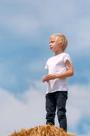 Portrait of child in full growth against the background of blue sky. Boy stands on the haystack and looks into the distanceの写真素材