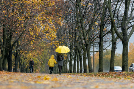 Mom and child in raincoat are walking under yellow umbrella in autumn park. back view.の写真素材