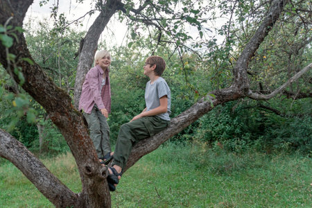 Two teenage boys climb tree and laugh. Children have fun in the park or forest sitting on wood branches.の写真素材