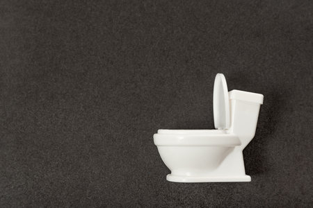 Toy little white toilet bowl on gray background. Side view on toilet model. Restroom or WC. Space for text.の写真素材